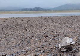 Zona de El Puntal en la que Asga proyecta su planta de preengorde de Almejas.