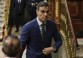 El presidente del Gobierno, Pedro Sánchez, en el hemiciclo del Congreso.
