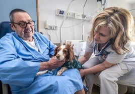 Iñigo, ingresado en el hospital de Txagorritxu, recibe la visita de su perrita Vera en presencia de Puri, la celadora